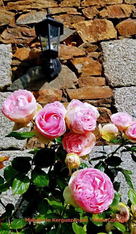 Rose Cottage Pontrieux Экстерьер фото